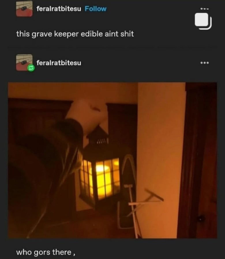 tumblr screenshot. ferratbitesu: "this grave keeper edible aint shit" Next post is a photo of an arm holding a lantern outward inside a house, lighting up a hallway and a few wooden doors. Text beneath reads: "who gors there ,"