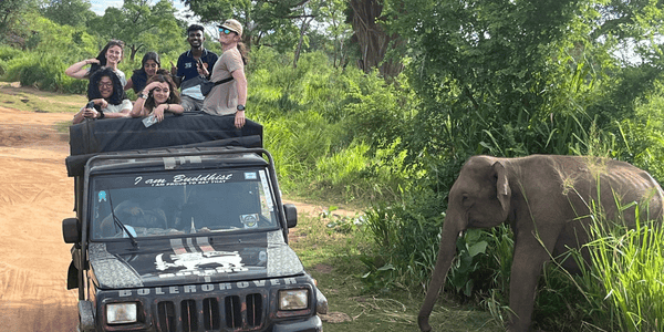 A group of people are seated on the roof of a black jeep, smiling and posing for a photo. An elephant is standing nearby in tall grass beside a dirt road, appearing calm as it grazes.