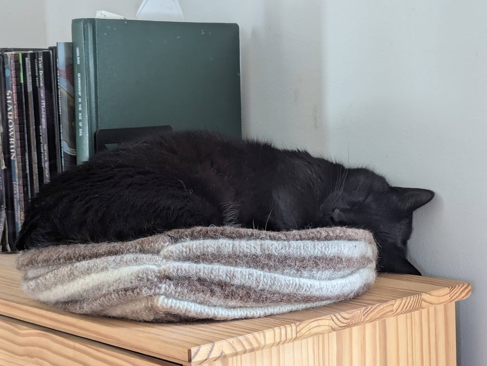 A black cat dozing on his side between a knitted bed and row of books including comic books, battered RPG manuals, and a book on seamanship