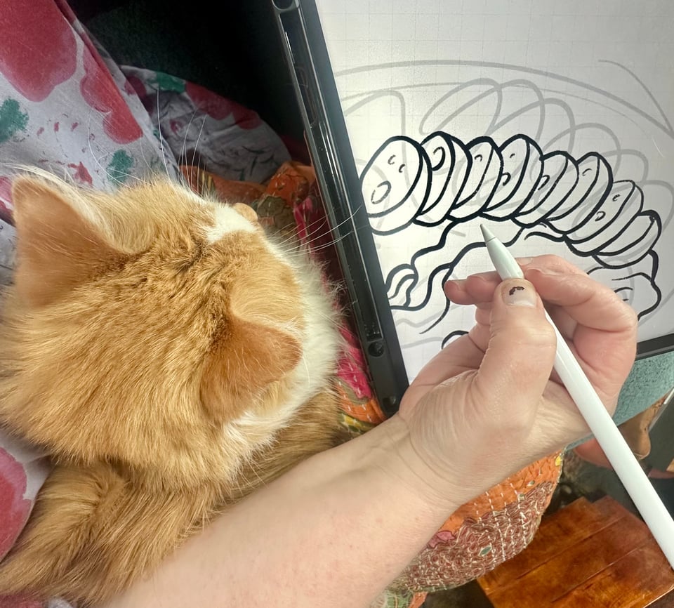 a small orange and white fluffy kitty nestled in the arm of the artist as she draws