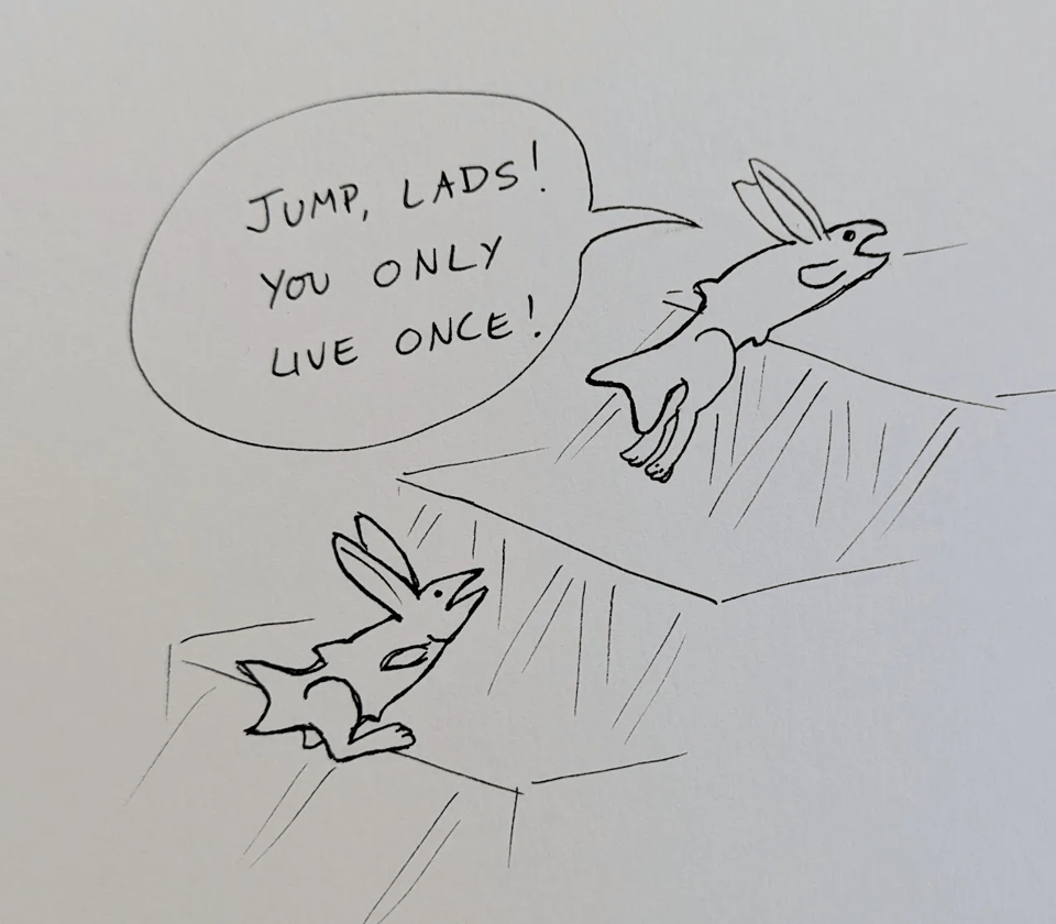A quick pen on paper sketch of two bunny-fishes (rabbit ears and hind legs on the body of a salmon) jumping up a series of weirs. The one in front is shouting, "Jump, lads! You only live once!"