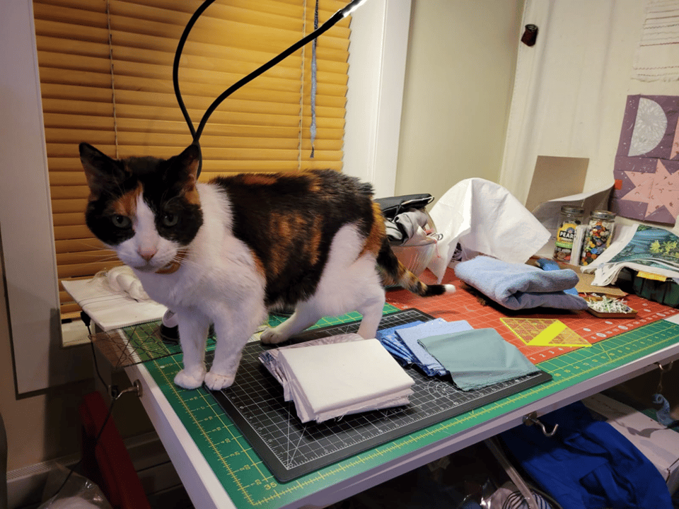 A calico cat with some tabby patches stands on a quilting station, with fabric and quilting tools and kleenex visible.