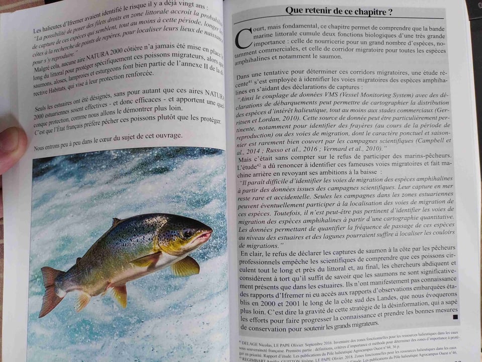 Pages 92-93 de l'ouvrage Golden Miles.