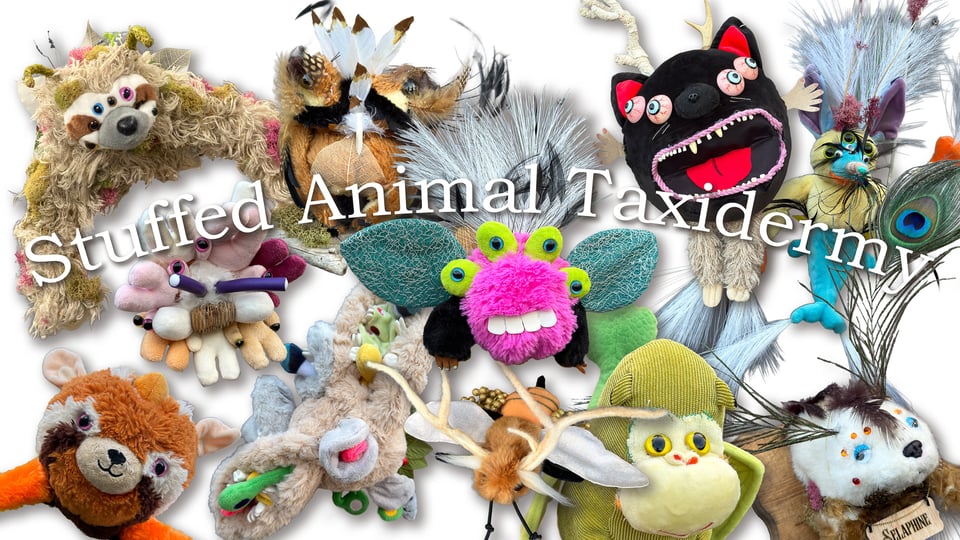 stuffed animal taxidermy