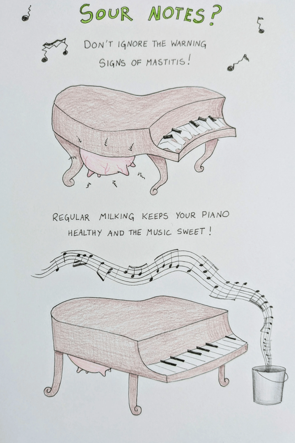 An illustrated PSA about piano care. At the top in bright green letters: "SOUR NOTES?" Then, "Don't ignore the warning signs of mastitis!" Dissonant musical notes dance around the words. A very uncomfortable-looking piano with a large swollen udder squats painfully under the words. Below that, the words "Regular milking keeps your piano healthy and the music sweet!" Then there is a cheerful-looking piano with a normal udder next to a milking bucket from which flows several bars of Pachelbel's Canon D dur.