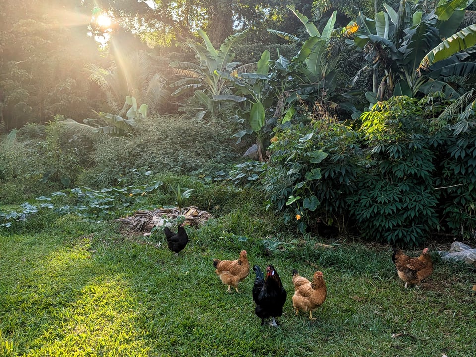 When the Sanctuary Finds Its Voice