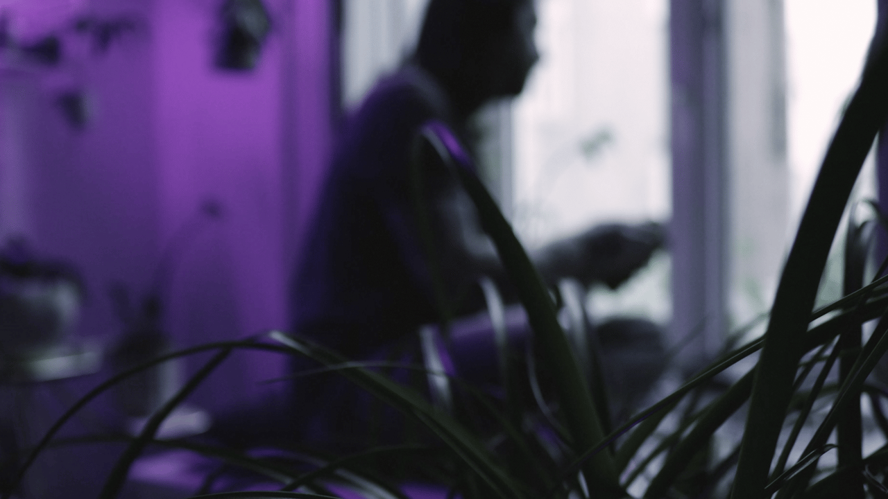 recording sound diary #2