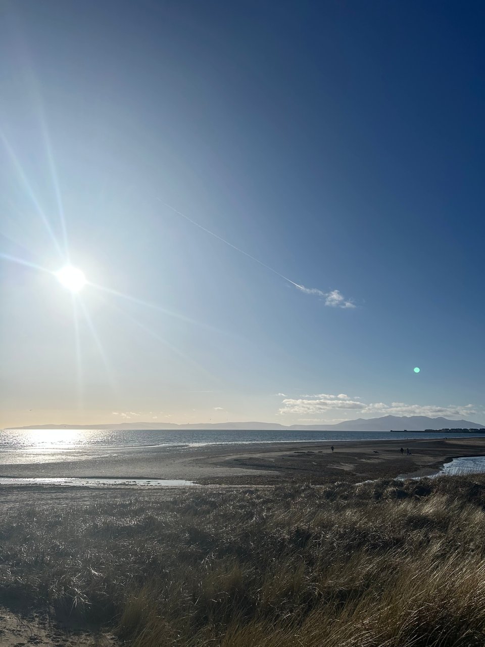 Grassy sand dunes and a seaweedy beach are in the foreground, with calm blue sea and bright blue sky. There are misty island mountains in the distance. Image by Rowan Ambrose.