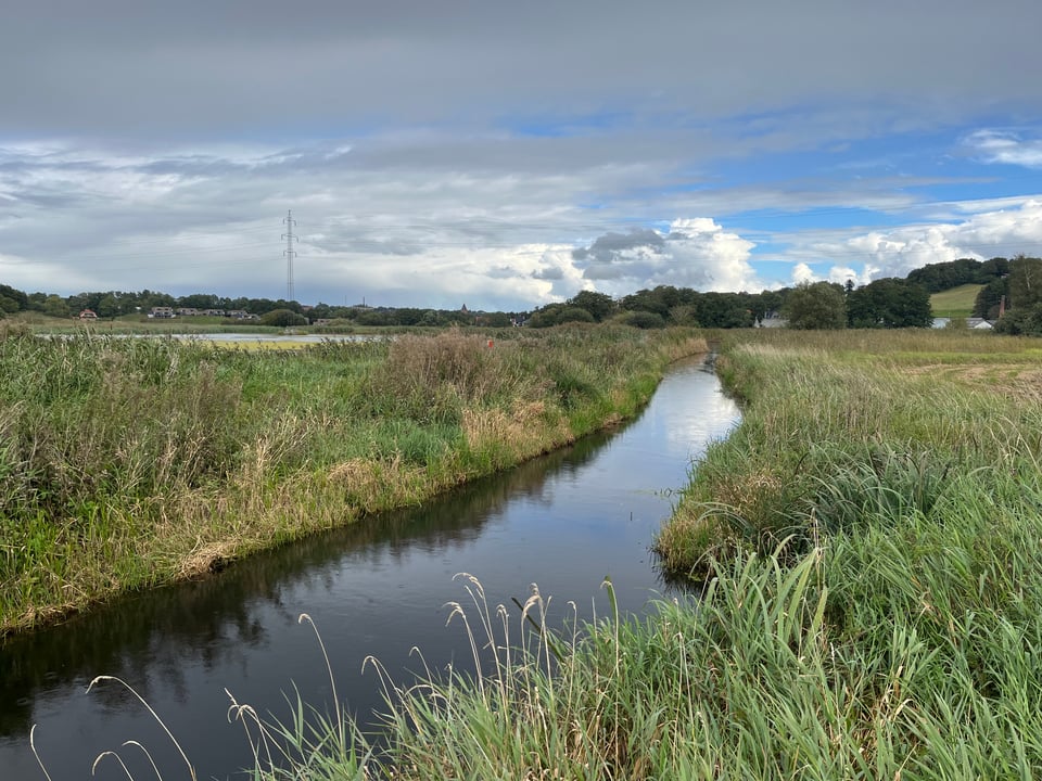 From the historical site of Fyrkat, an old Viking era fort, a marsh and stream amid grass, with cloudy blue skies above.
