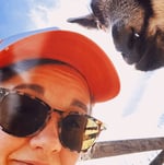 the garden gate, vol. 2 🌿