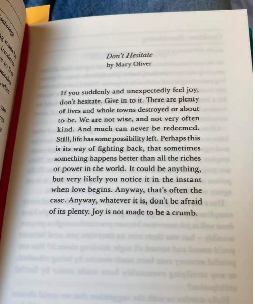 screen cap of the poem Don't Hesitate by Mary Oliver