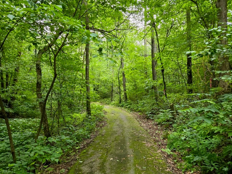 Winding trails, including a wheelchair-accessible loop, run from the Kruger Unit picnic area. / Photo by Pamela Miller