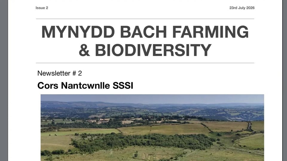 Screenshot of Mynydd Back newsletter with aerial view of SSSI