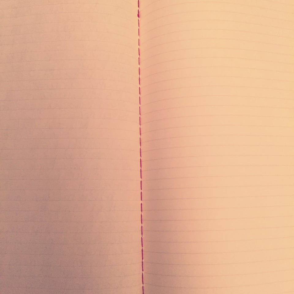 a strong suggestion, a willful stance, an insistence