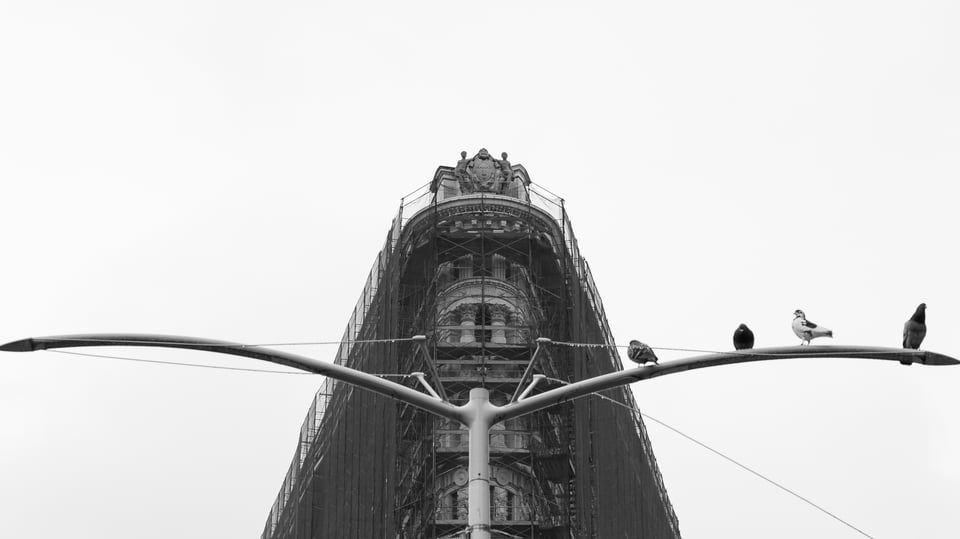 Pigeons and the Flatiron Building