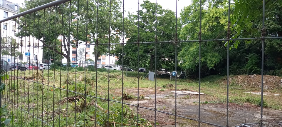 Another photograph of that empty lot near my place. The City came and cut down most of the plants a few weeks ago, but it's already growing back.