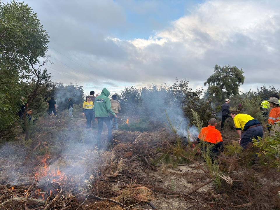 Photograph of the bushland. It's a cloudy day. There are multiple small fires, and people tending them and walking around looking at the situation.