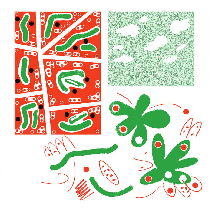 pochette de l'album Which Life, The Friends, dessin en rouge et vert avec comme des petits brins d'ADN et des fleurs et un ciel