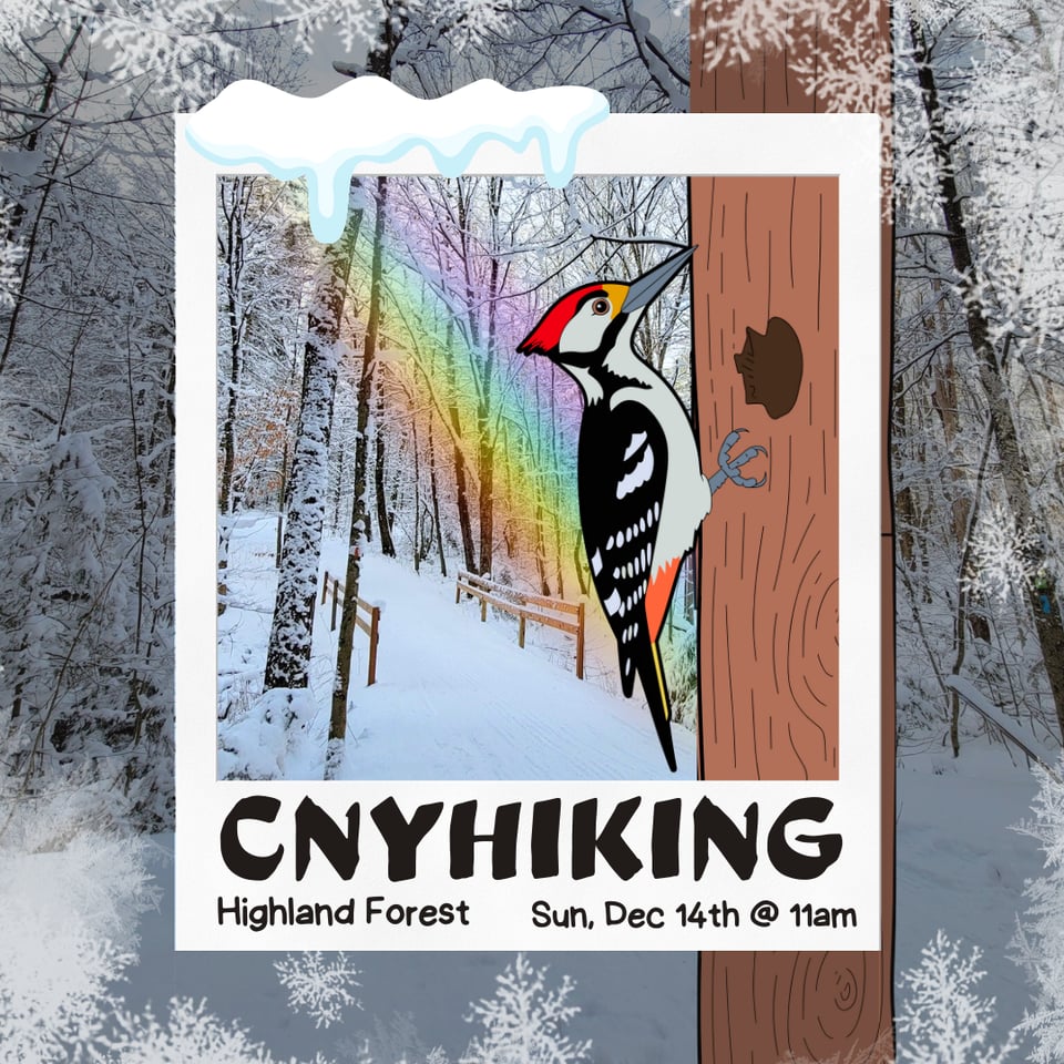 Upcoming Hike at Highland Forest on Sunday December 14th at 11 AM.