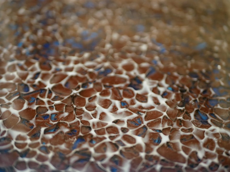 zoom in on the sheet, it's a scale like pattern with white, brown and blue