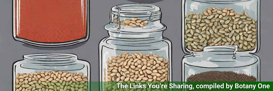 An illustration of seeds in jars