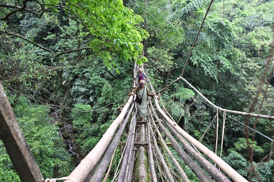Tree root bridge and a few local people walking on it