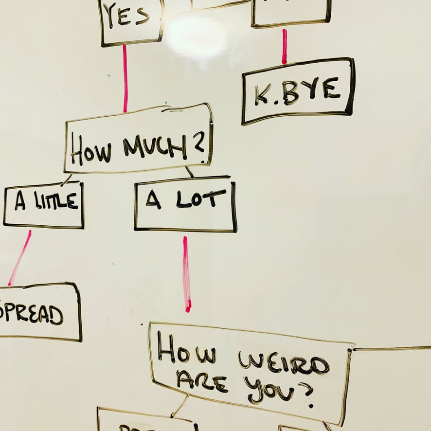 A whiteboard showing a decision tree of mysterious options