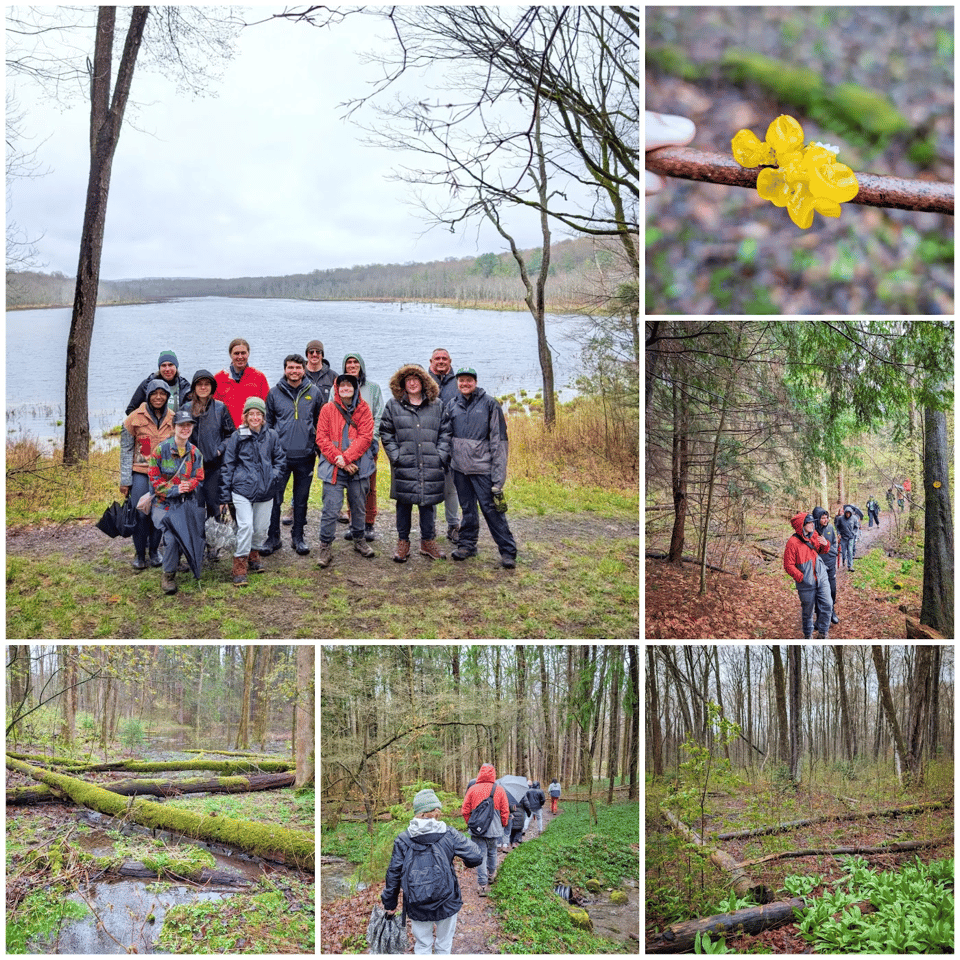 A few photos from our recent hike at Bear Swamp Forest