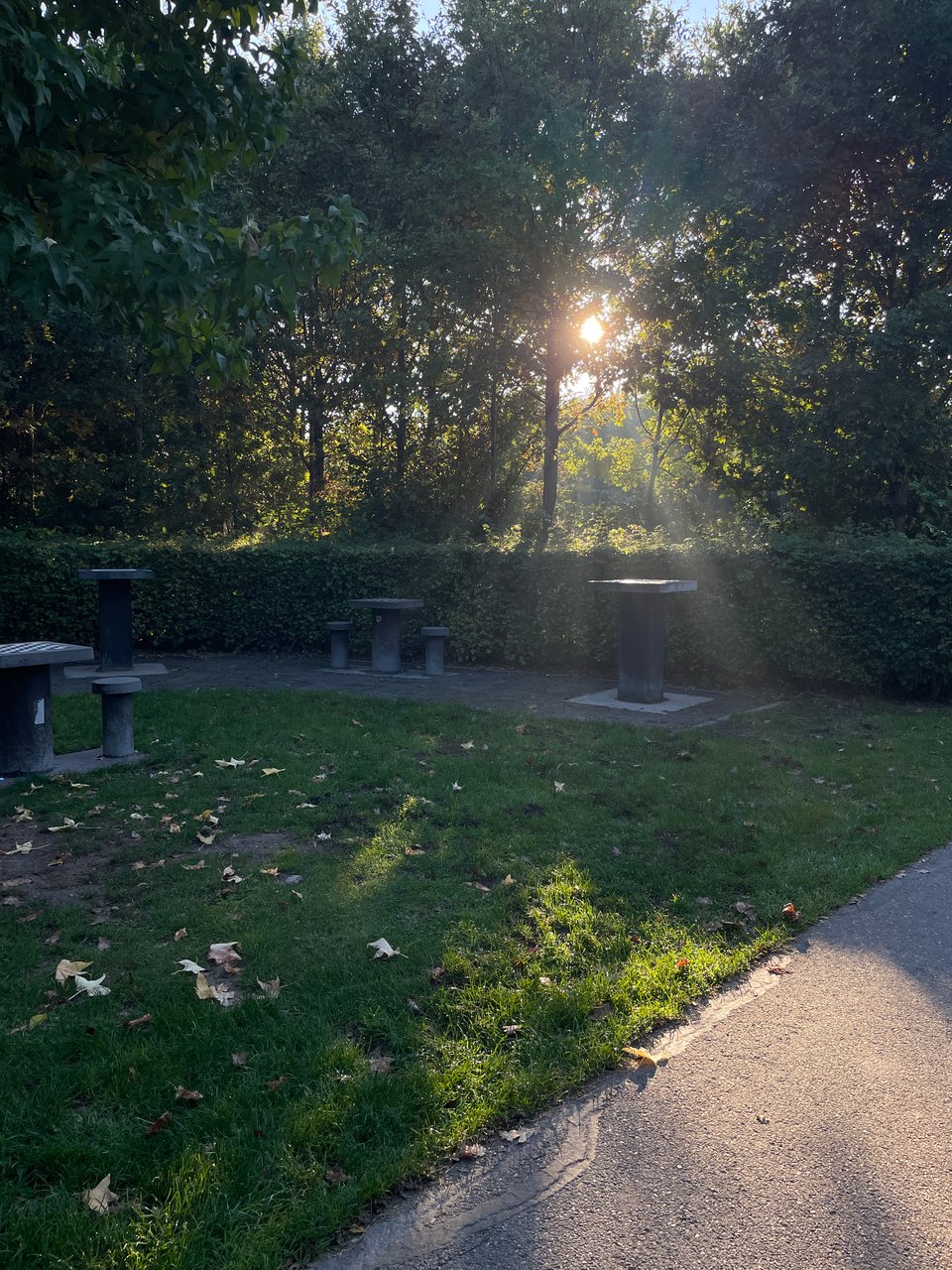 Low fall sunlight streams through trees in a park that is filled with several stone tables with chess boards embedded in the tops.