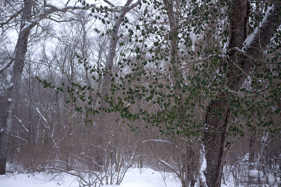 At Work In The Ruins
