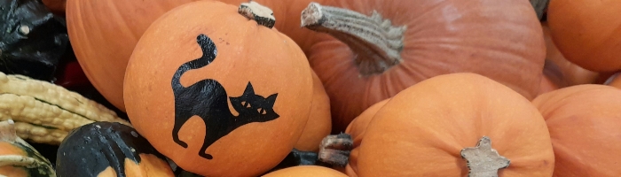 A pile of gourds and pumpkins, one of which has a black cat painted on it