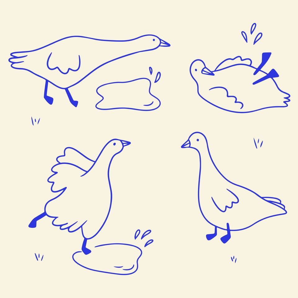 drawing of four birds moving around
