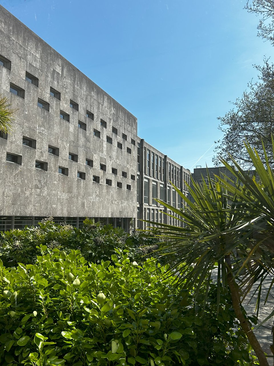 The large bulk of the long gallery, part of the council suite, breaks the uniformity of the grid of the building to the left. In the foreground are mature plants.