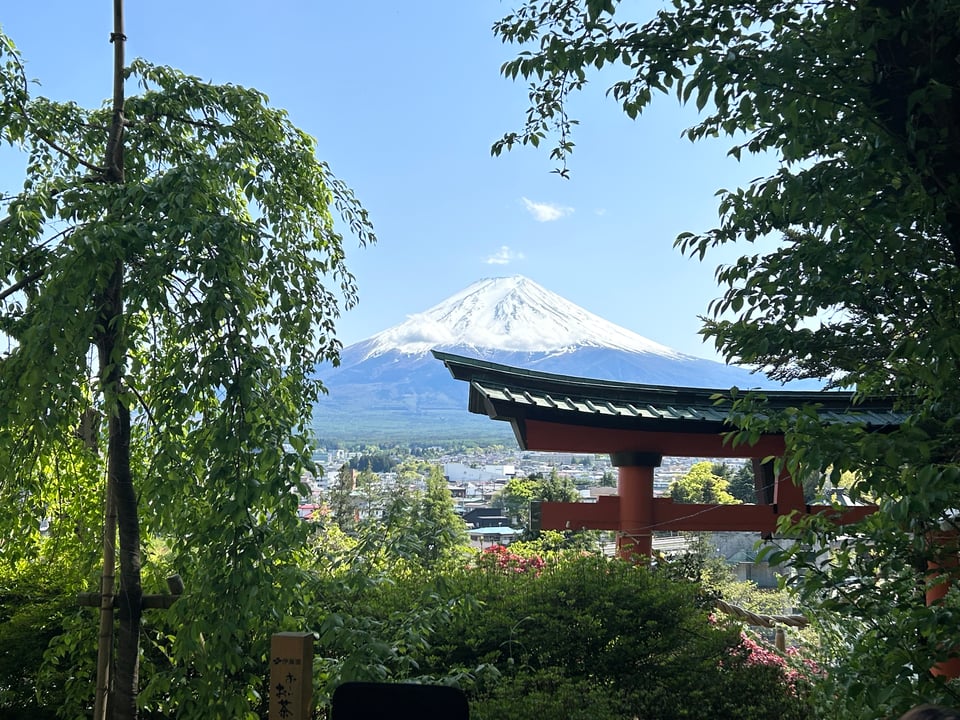 Mt. Fuji seen through trees