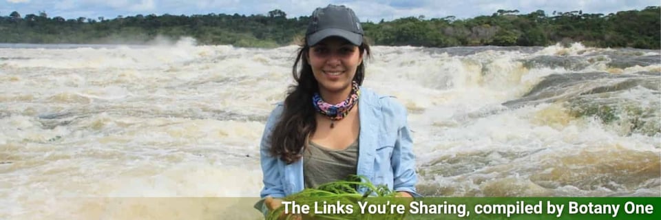 Ana Bedoya holding river weed next to a raging river.