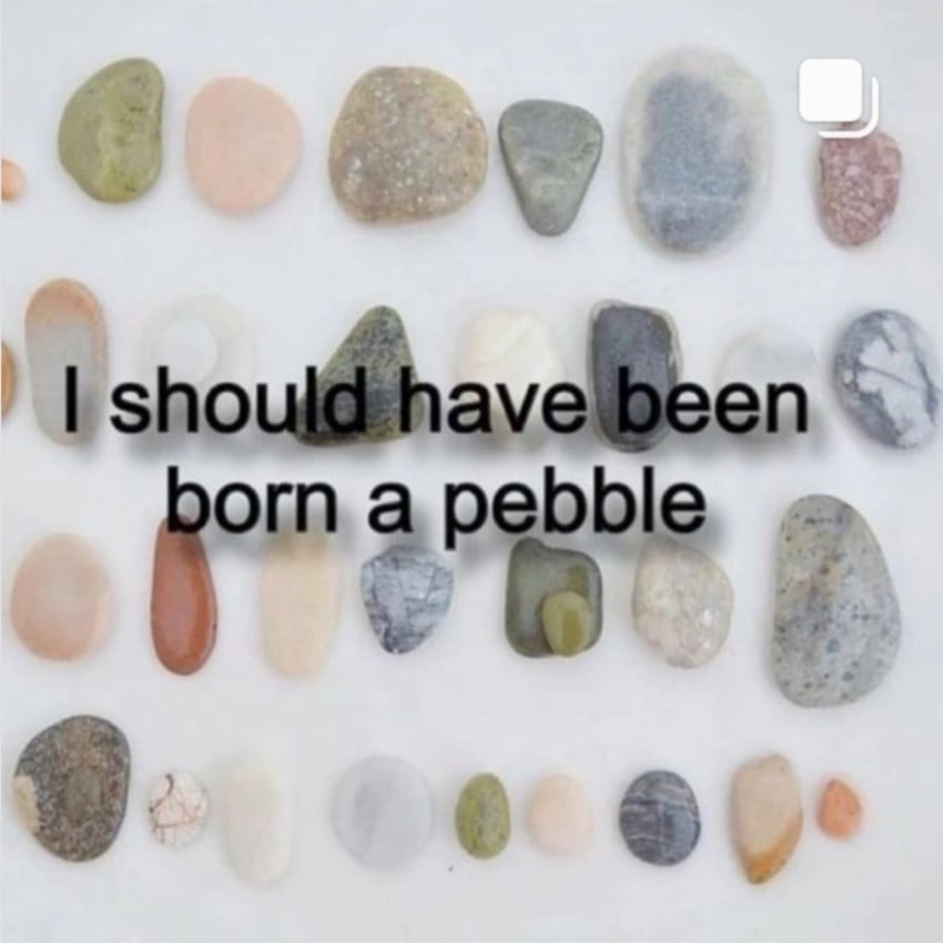 A photo of a collection of pebbles laid out in 4 neat rows. Overlaid text reads: "I should have been born a pebble"