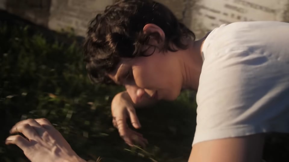 NEW VIDEO - Aldous Harding - Venus in the Zinnia