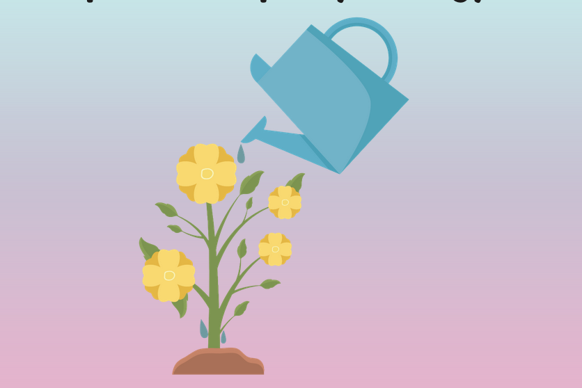 An image of plant in some earth. There are yellow flowers. A watering can is hovering above the plant, watering it