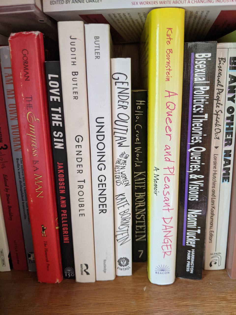 A random selection of books from my queer books shelf, including Kate Bornstein, and a bunch of bisexual and trans memoirs and essay collections