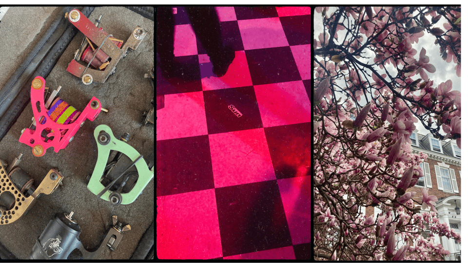 three photos. L-R: a set of tattoo machines inside a case, including cool pink and green ones; a black and white tile floor washed in pink light; pink orchids blooming next to a big brick house.