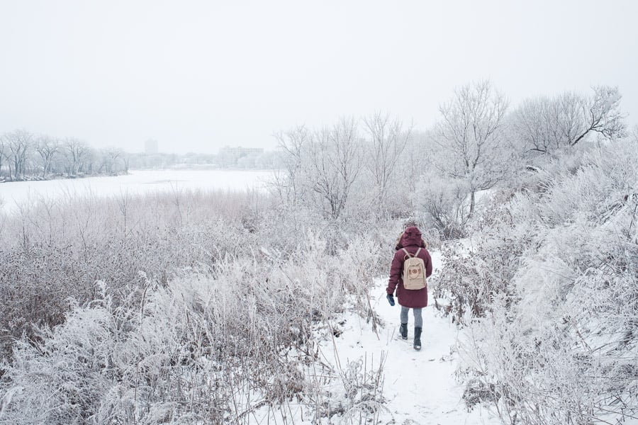 03 - Winter river walking
