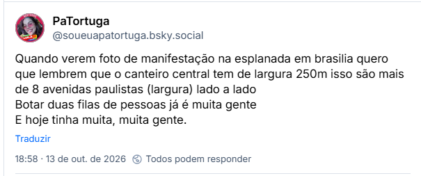 Post de PaTortuga (@soueuapatortuga.bsky.social): Quando verem foto de manifestação na esplanada em brasilia quero que lembrem que o canteiro central tem de largura 250m isso são mais de 8 avenidas paulistas (largura) lado a lado
Botar duas filas de pessoas já é muita gente
E hoje tinha muita, muita gente.