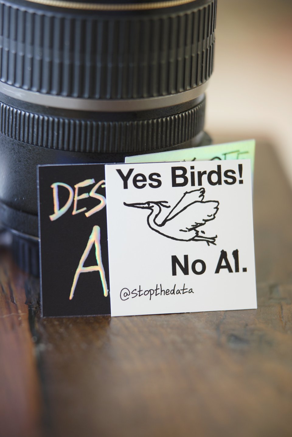 Yes Birds! No AI.