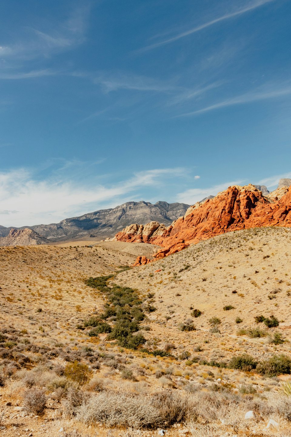 red rock formations in the desert