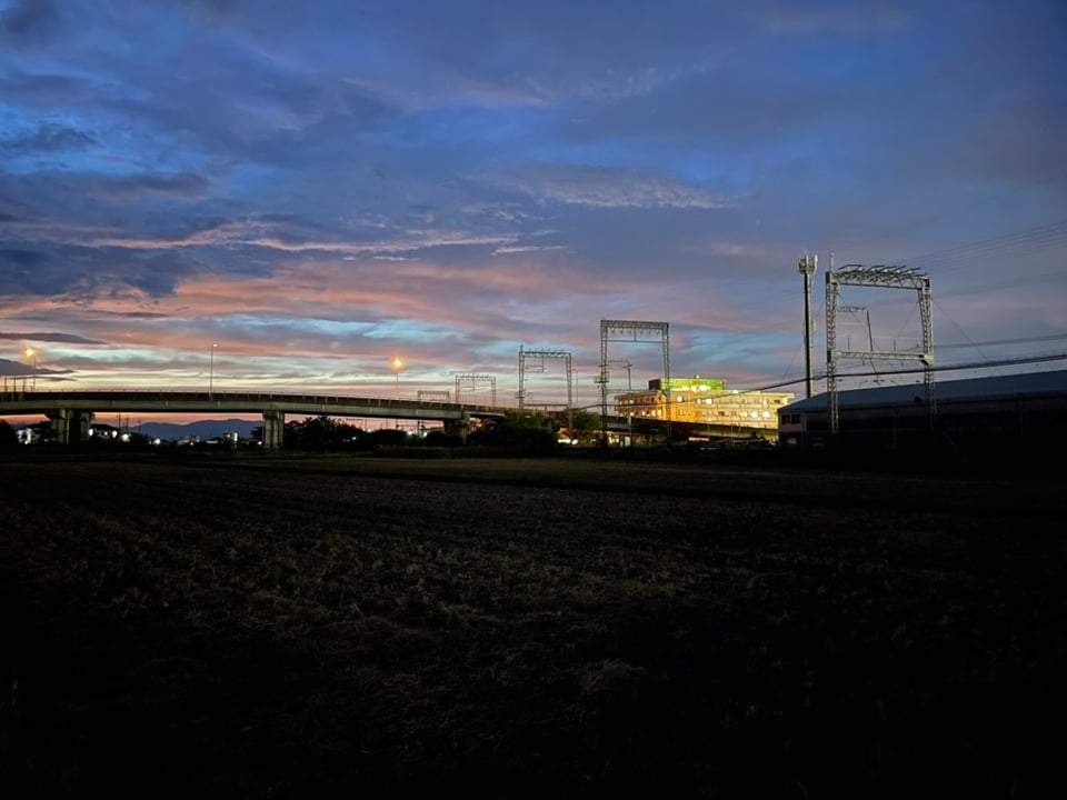 Sep 2025 // The Roses