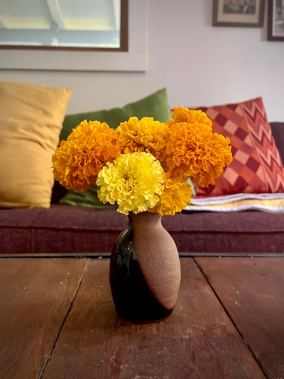 marigold
