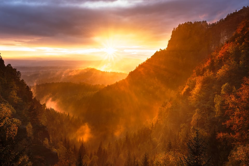 Sunrise on the horizon in a forest landscape