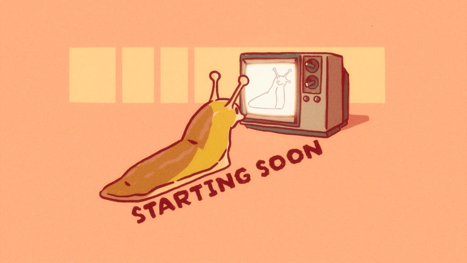 A slug waits for the broadcast to begin