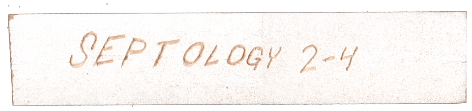 I carved "Septology 2-4" into a piece of wood