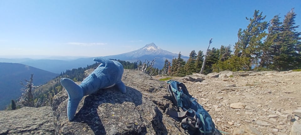 A Blahaj plush shark sits on top of a rock on a small mountain, next to a small blue backpack. The Blahaj is looking to the distance at Mount Hood in Oregon.